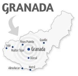 Servicio técnico y Reparación en Granada