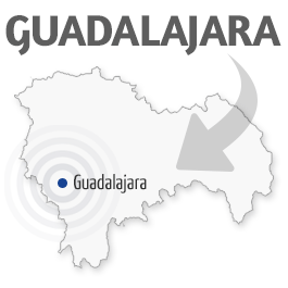 Servicio técnico y Reparación en Guadalajara