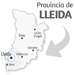 Servicio técnico y Reparación en Lleida