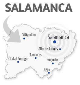 Servicio técnico y Reparación en Salamanca
