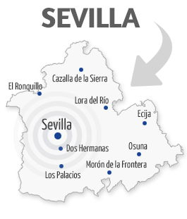 Servicio técnico y Reparación en Sevilla