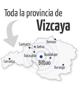 Servicio técnico y Reparación en Vizcaya