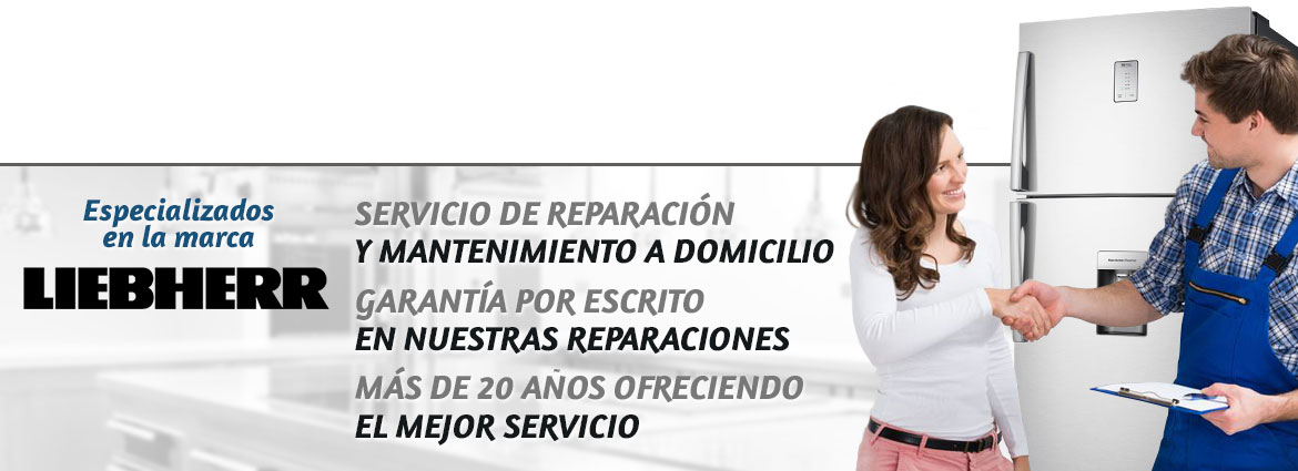 Servicio Técnico Liebherr en tu ciudad