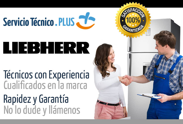 Servicio Técnico Liebherr en tu ciudad